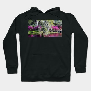 Spanish Moss Beauty Hoodie